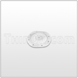 Diaphragm (TM12 70 055) PTFE