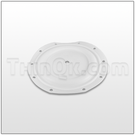 Diaphragm (T96165-L) PTFE Long Life