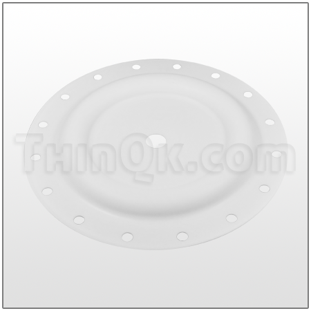 Diaphragm (T97604-T) PTFE