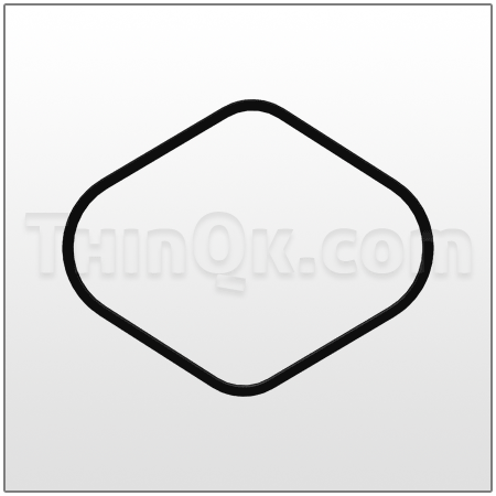 Gasket (T95666) BUNA