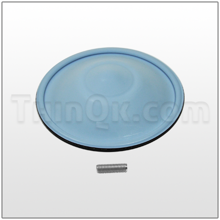 Diaphragm (T15-301) Bonded PTFE