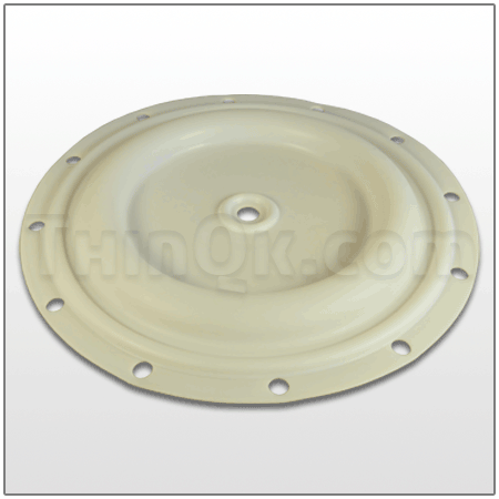 Diaphragm (T1B039) PTFE