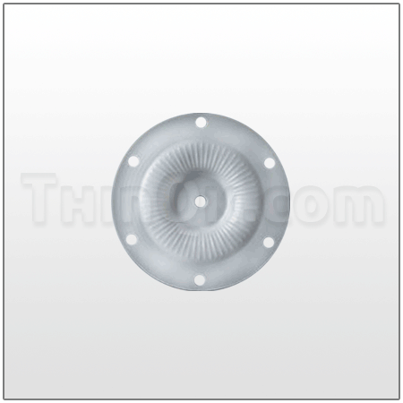 Garlock (TPA0061) Diaphragm 1''