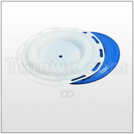 Diaphragm kit PTFE (T859.0205)