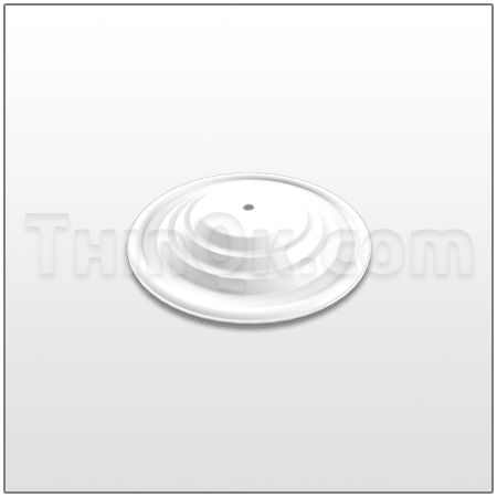 Diaphragm (T108839) PTFE