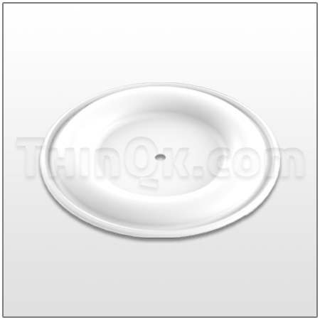 Diaphragm (T189294) PTFE
