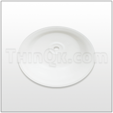 Diaphragm (T15R022) PTFE