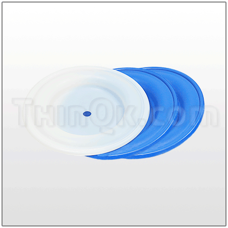 Diaphragm kit PTFE (T24V244)
