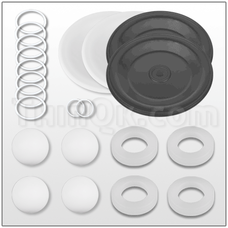 Repair Kit (T859.0131)