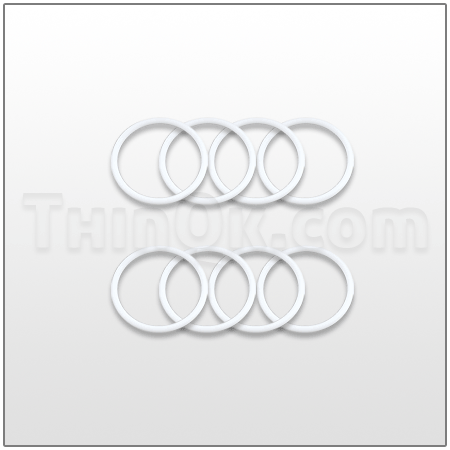 O-ring Kit (T24B655)