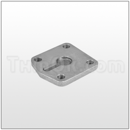 End cap (T165.011.010) Cast iron