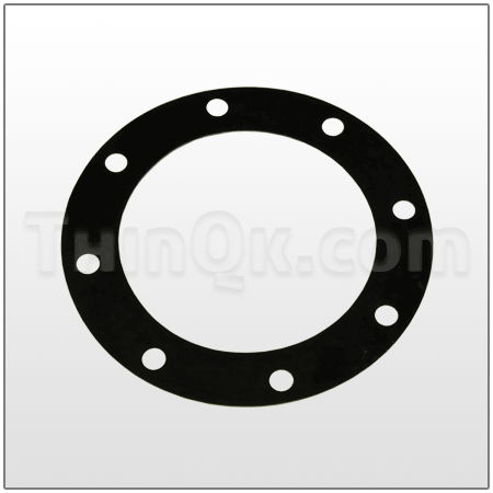 Gasket (T360.099.360) BUNA