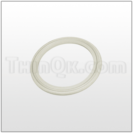 Gasket (T361.005.366)