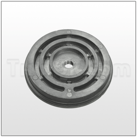 Piston (T612.195.010) Cast iron