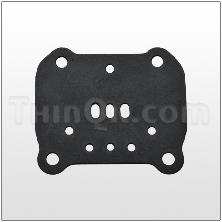 Gasket (T360.V003.360) BUNA