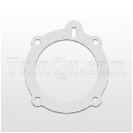 Gasket (TP31-109) MP2-N