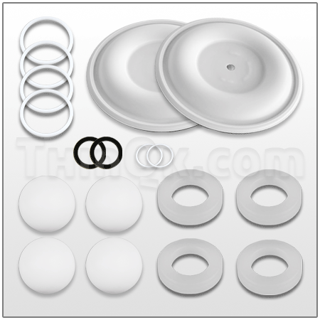 Repair kit (T819.2184)