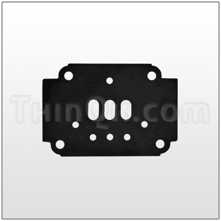 Gasket (T360.V002.360) BUNA