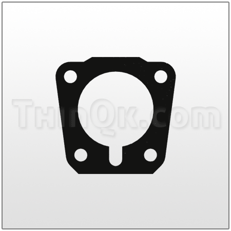 Gasket (TP98-110) BUNA