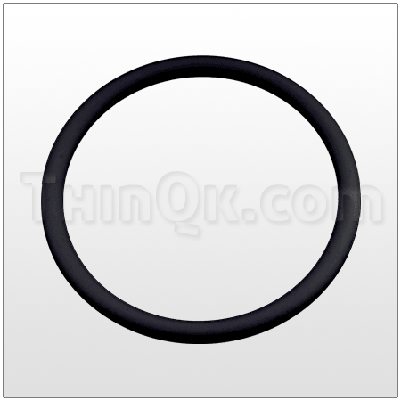 O-Ring (T6-200-47) BUNA