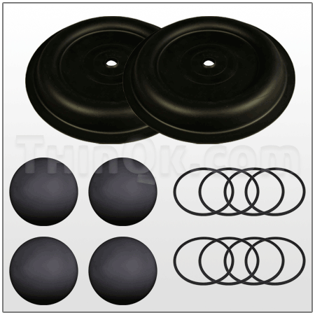 Repair kit (TK25-PN)