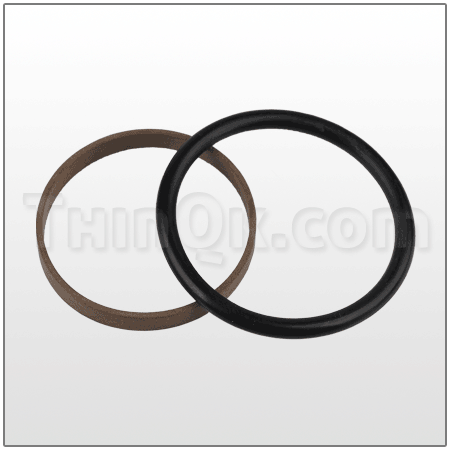 Seal/O-Ring (T500106---)