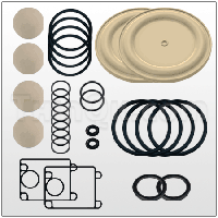Repair kit (T637396-AA)