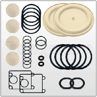 Repair kit (T637396-CC)