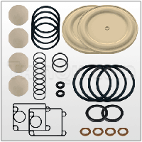 Repair kit (T637401-AA)
