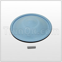 Diaphragm (T15-301) Bonded PTFE