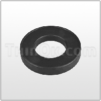 Seat (T40-040) FKM/VITON