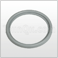 Seal (T920090441) BUNA