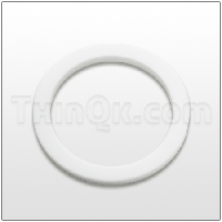 Seal (T7450) PTFE