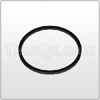 Gasket (T115055) BUNA