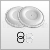 Diaphragm Kit (T24F398)