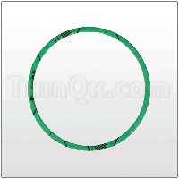 Gasket (T6-420-181) Klingerseal