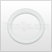 Seal (T720.038.600) PTFE