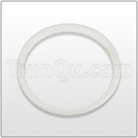 Seal (T720.041.600) PTFE