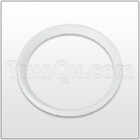 Seal (T720.051.600) PTFE