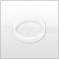 Gasket (T675.013.600) PTFE