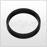 Gasket (T675.021.360) BUNA