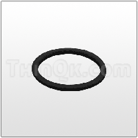 Gasket (T675.041.360) BUNA