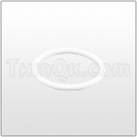 Seal (T720.032.600) PTFE