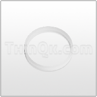 Seal (T6-050-36) POLYETHYLENE