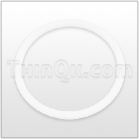 O-Ring (T819.4304) PTFE