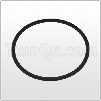 Seal (T720.060.608) PTFE