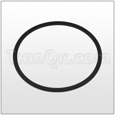 Seal (T720.060.608) PTFE
