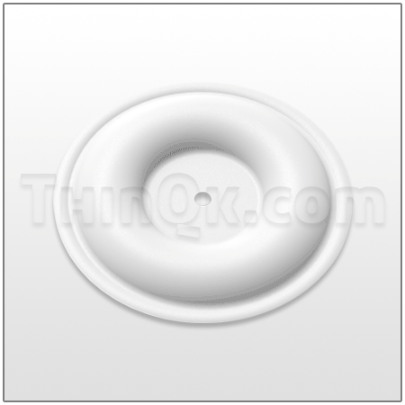 Diaphragm (T770815) PTFE