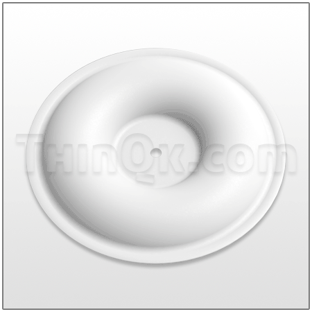 Diaphragm (T770934) PTFE